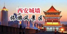 色色羞中国陕西-西安城墙旅游风景区
